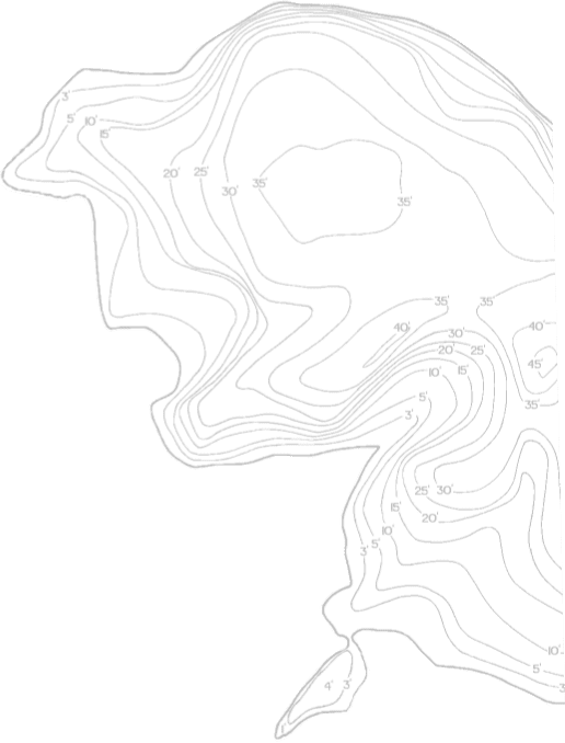 BG Contour Pattern