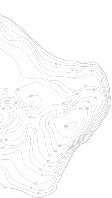 BG Contour Pattern