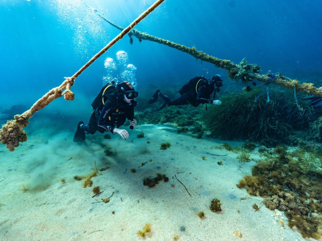beginners diving in malta
